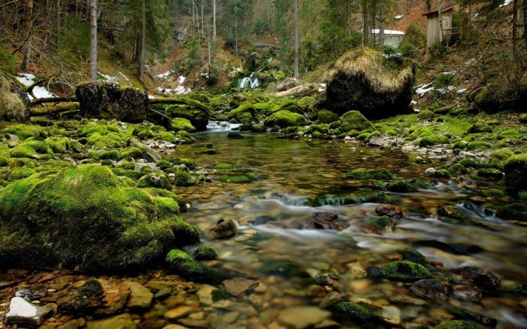 river, Rocks, Wood, Moss, Nature HD Wallpaper Desktop Background