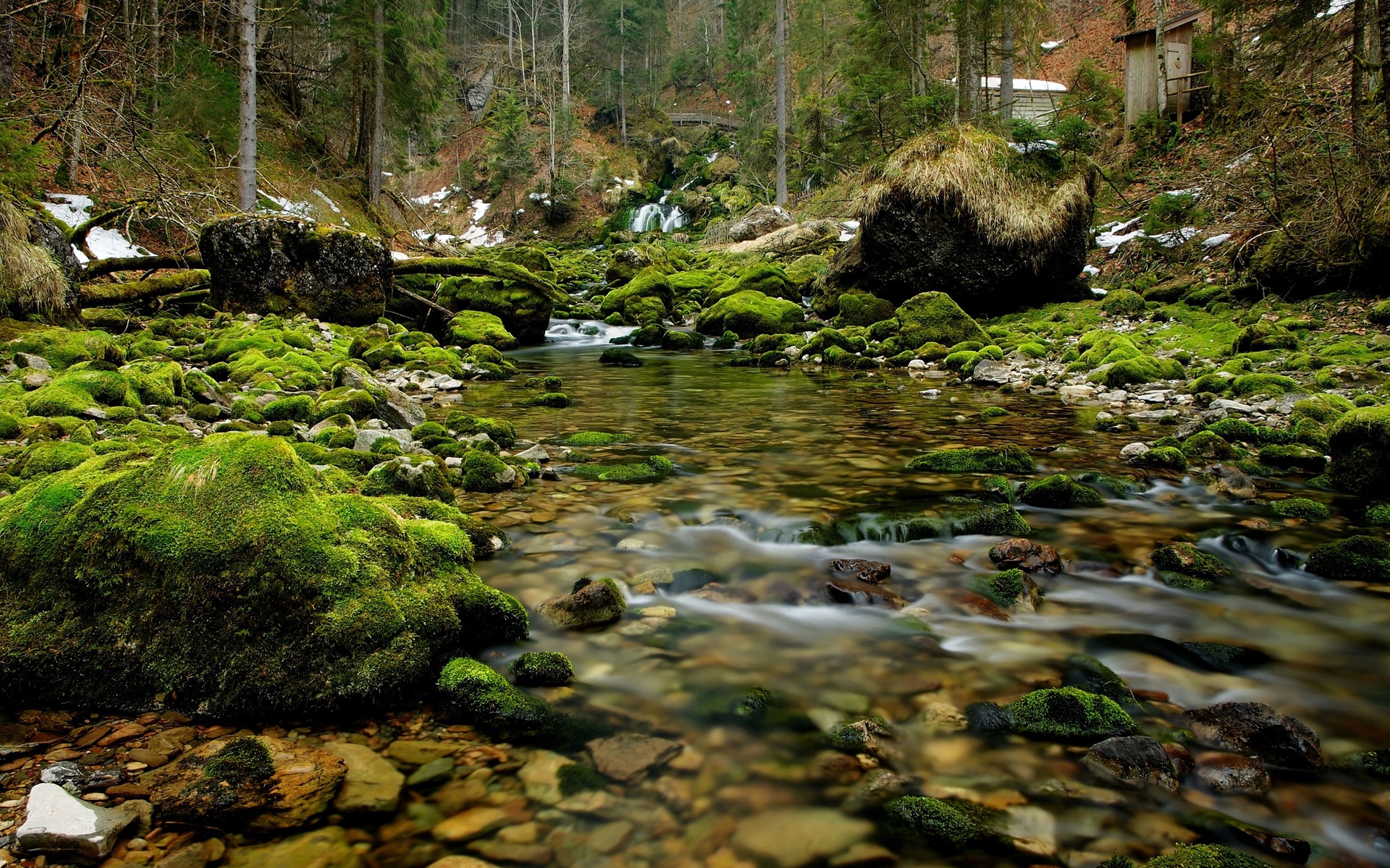 river, Rocks, Wood, Moss, Nature Wallpaper