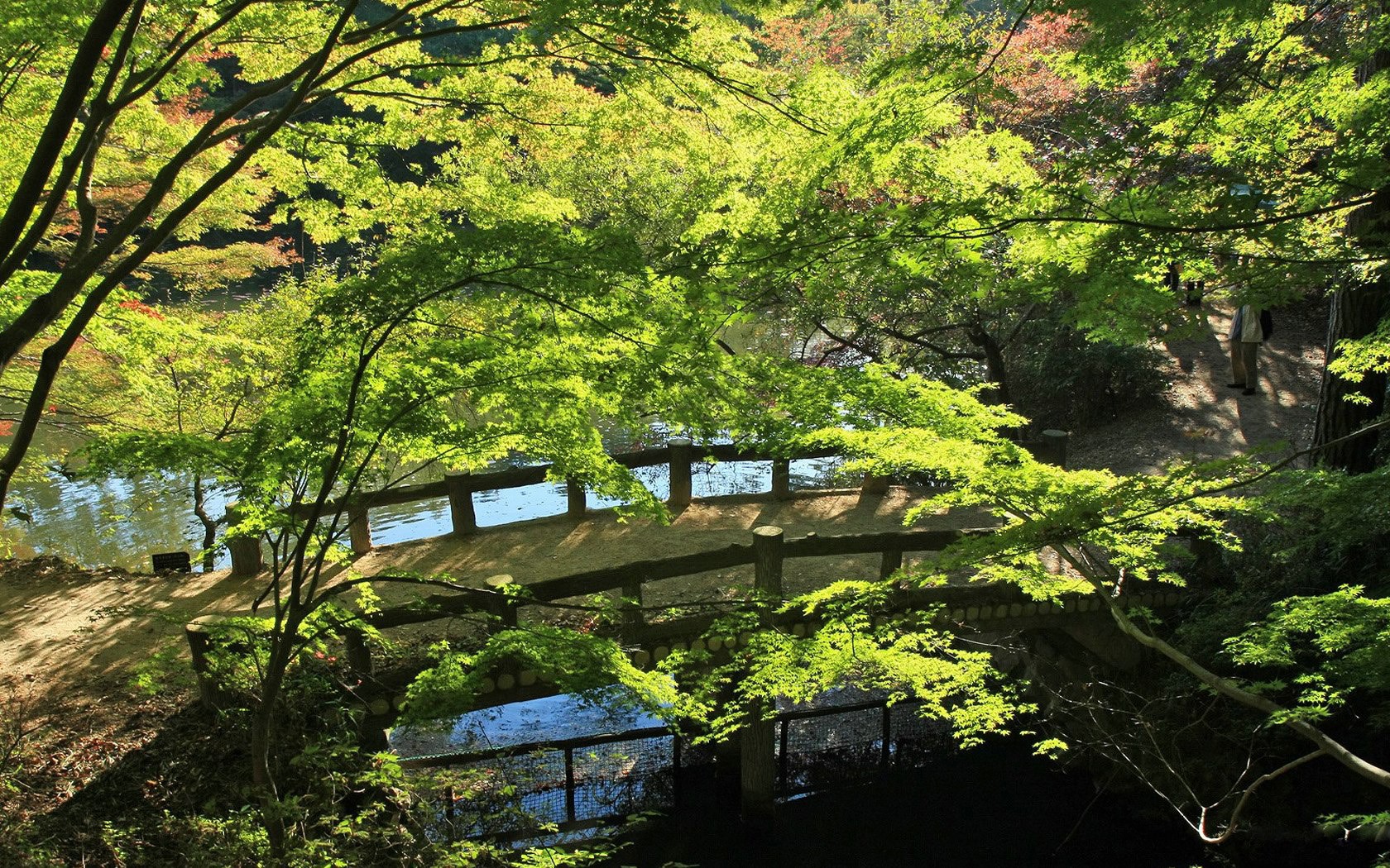 landscapes, Nature Wallpaper