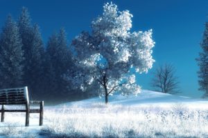 landscapes, Winter, Snow, Trees, Bench