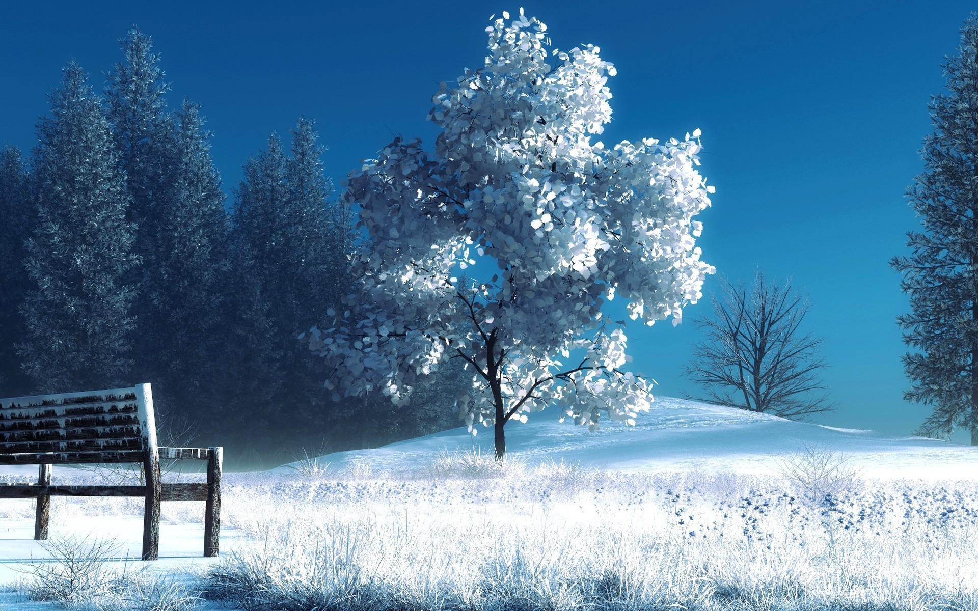 landscapes, Winter, Snow, Trees, Bench Wallpaper