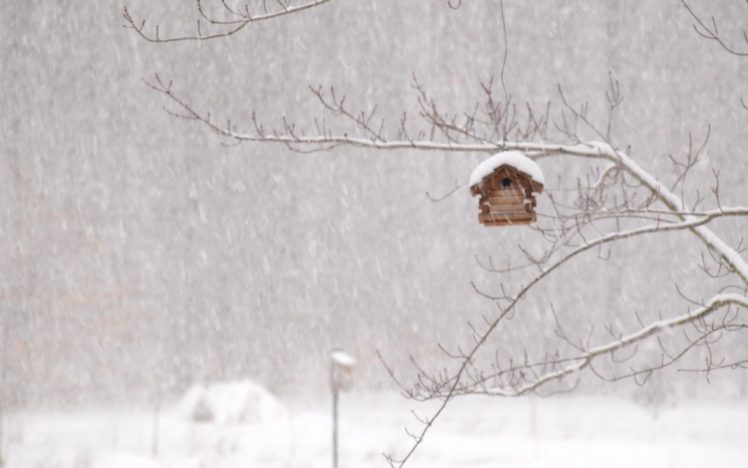 winter, Storm, House, Snow, Birds HD Wallpaper Desktop Background