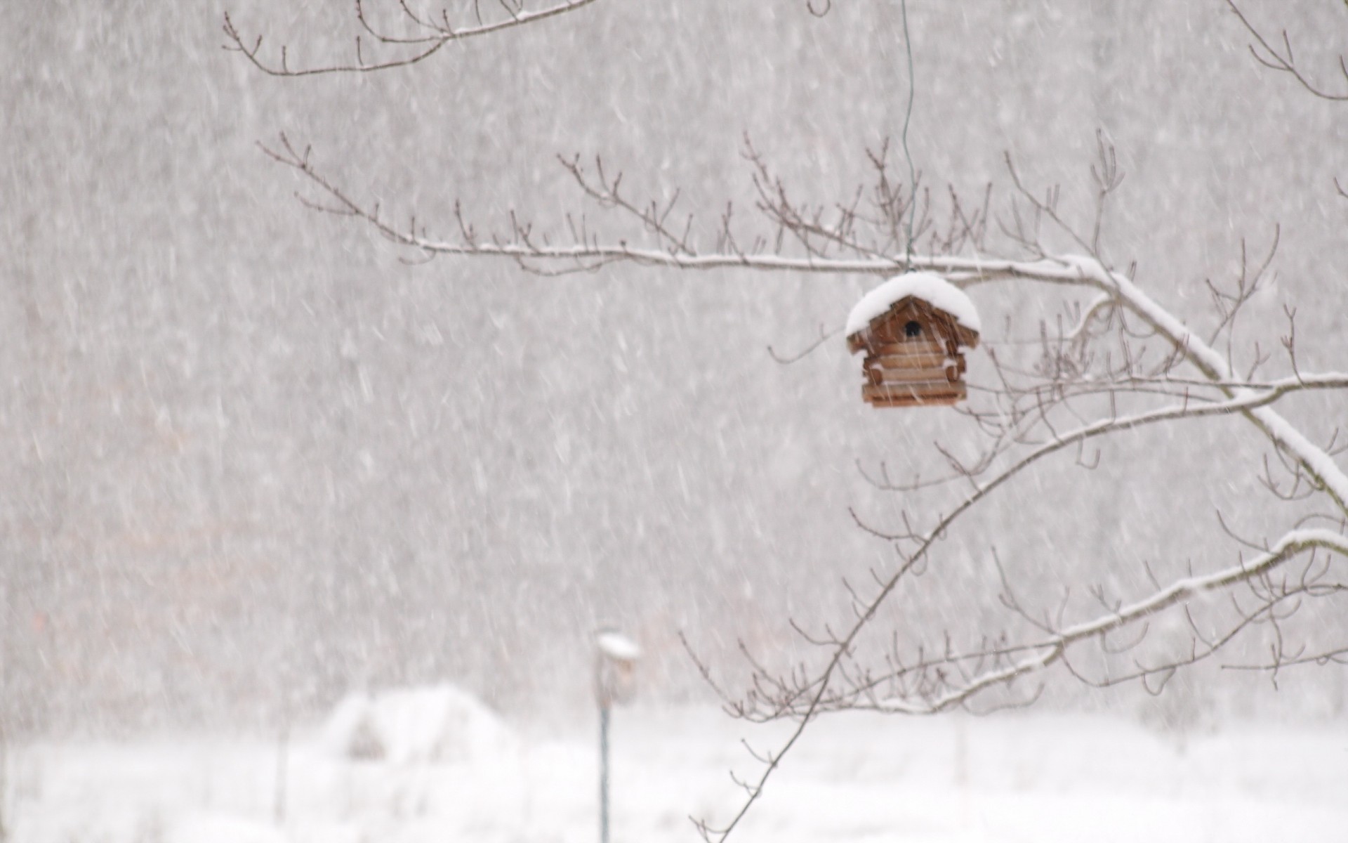 winter, Storm, House, Snow, Birds Wallpaper