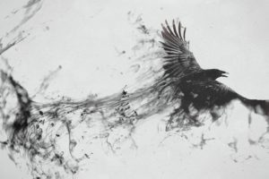 raven, Bird, Flying