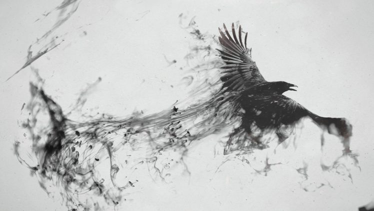 raven, Bird, Flying HD Wallpaper Desktop Background