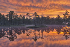 sweden, Lake, Trees, Reflection, Sunset