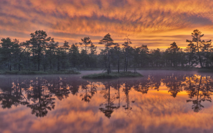 sweden, Lake, Trees, Reflection, Sunset HD Wallpaper Desktop Background