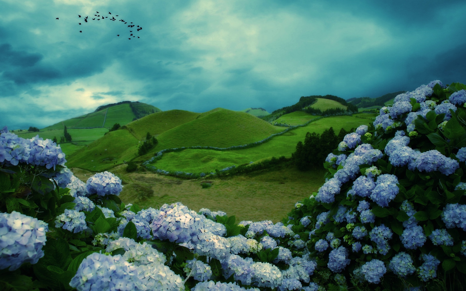 mountains, Flowers, Clouds, Birds Wallpaper