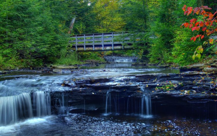 waterfall, Forest, Trees, Nature, Landscape, Bridge HD Wallpaper Desktop Background