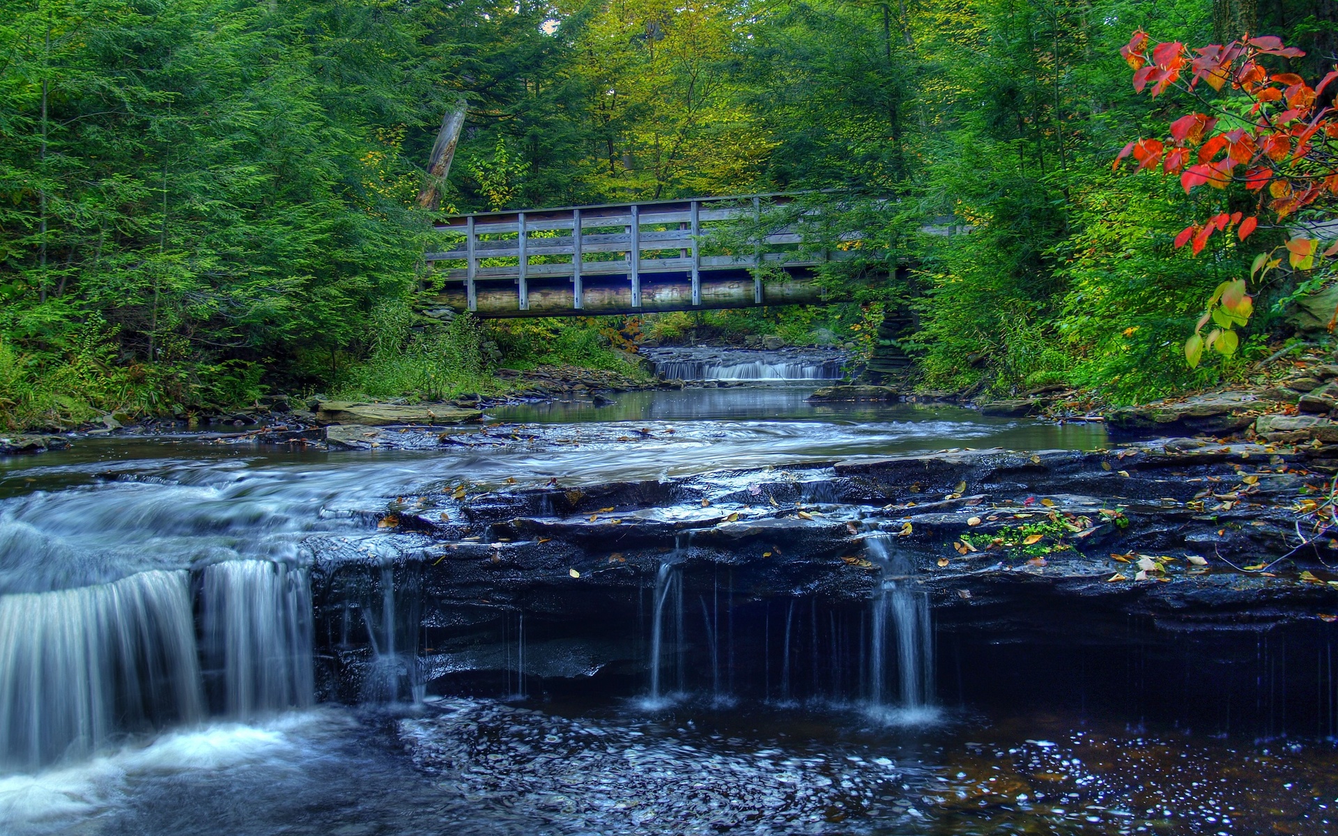 waterfall, Forest, Trees, Nature, Landscape, Bridge Wallpaper
