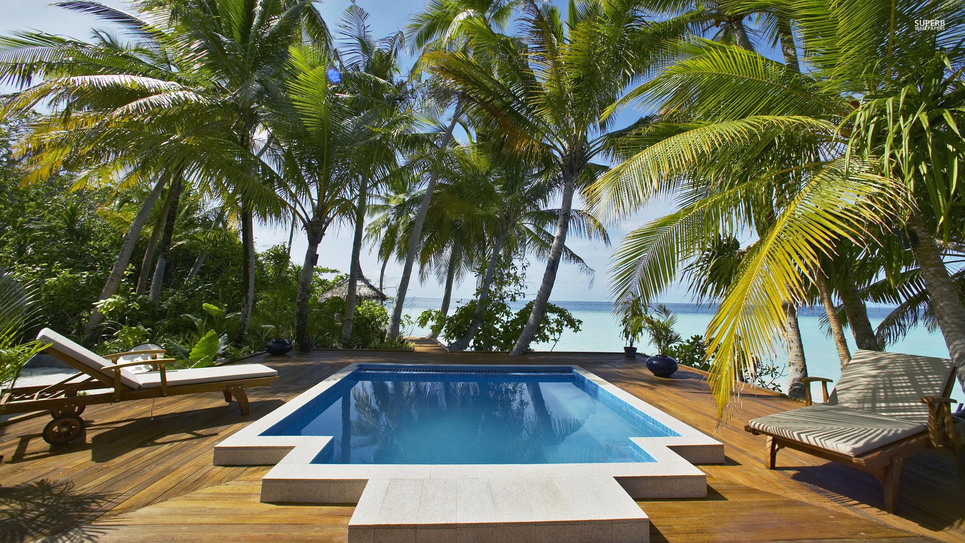 swimming, Pool, Architecture, Interior, Design, Summer, Swim Wallpaper