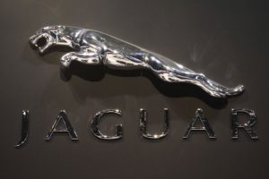jaguar, Famous, Logo, Wallpaper