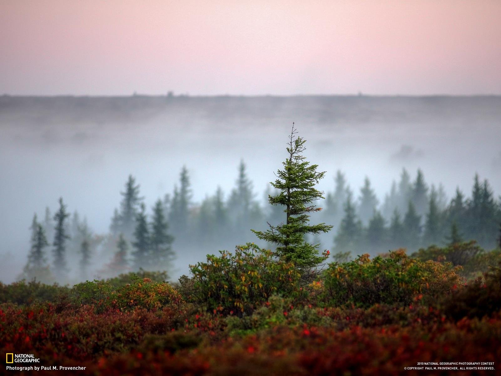 761014 Wallpaper