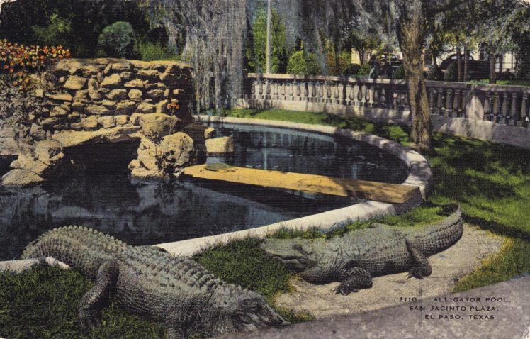 postcard, Paper, Bokeh, Advertisement, Poster, Artwork HD Wallpaper Desktop Background