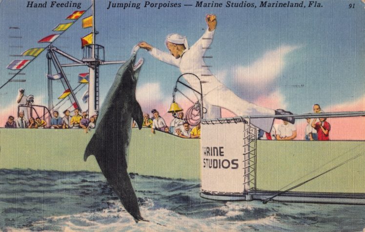 postcard, Paper, Bokeh, Advertisement, Poster, Artwork HD Wallpaper Desktop Background