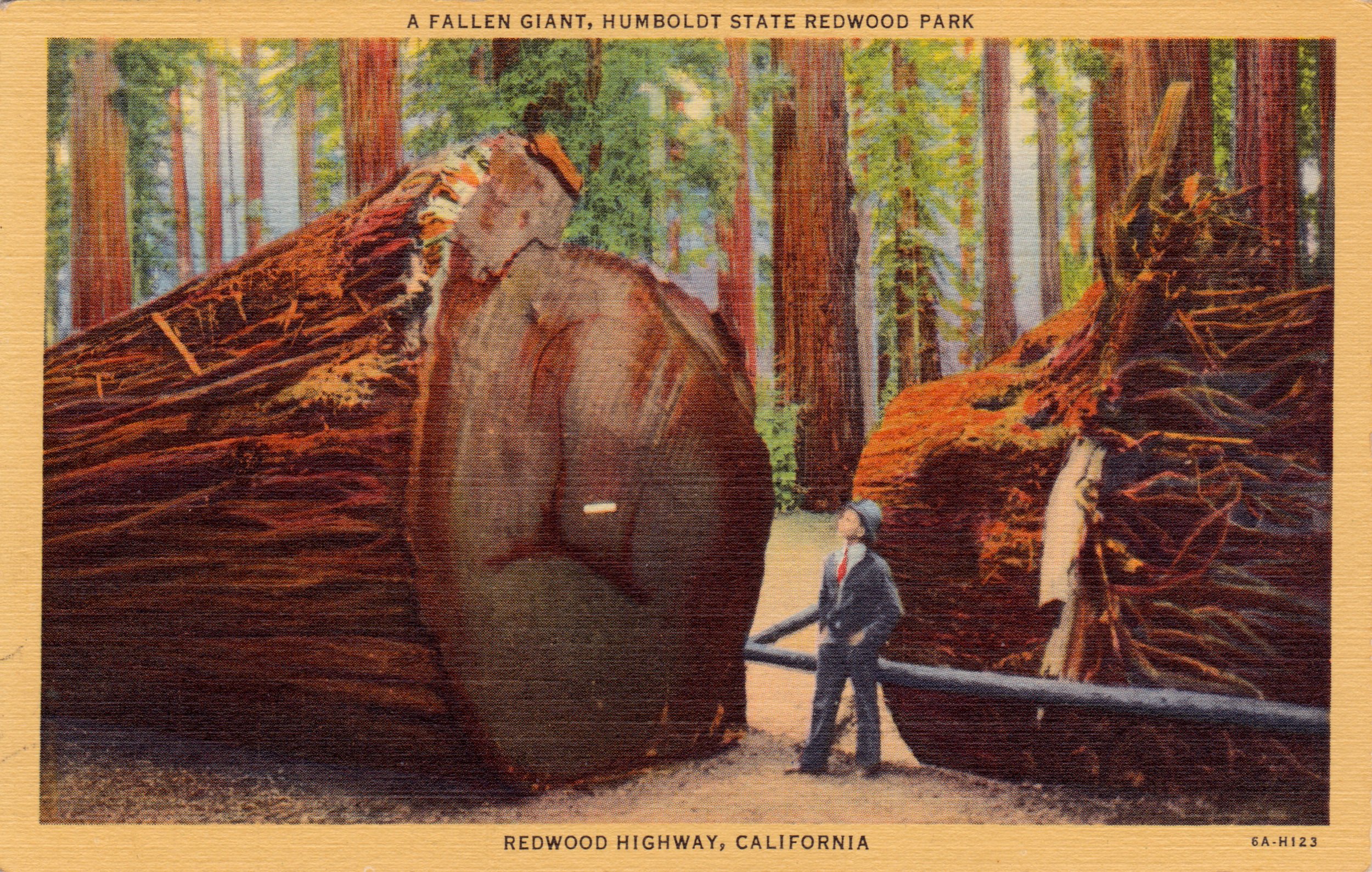 postcard, Paper, Bokeh, Advertisement, Poster, Artwork Wallpaper