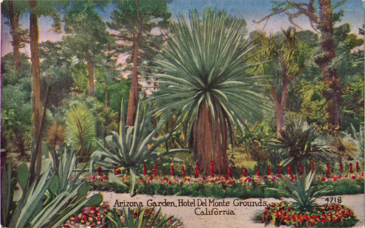 postcard, Paper, Poster, Advertising, Vintage, Retro, Antique HD Wallpaper Desktop Background