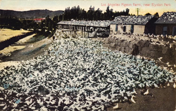 postcard, Paper, Poster, Advertising, Vintage, Retro, Antique HD Wallpaper Desktop Background