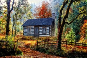 autumn, Forest, House, Nature, Landscape