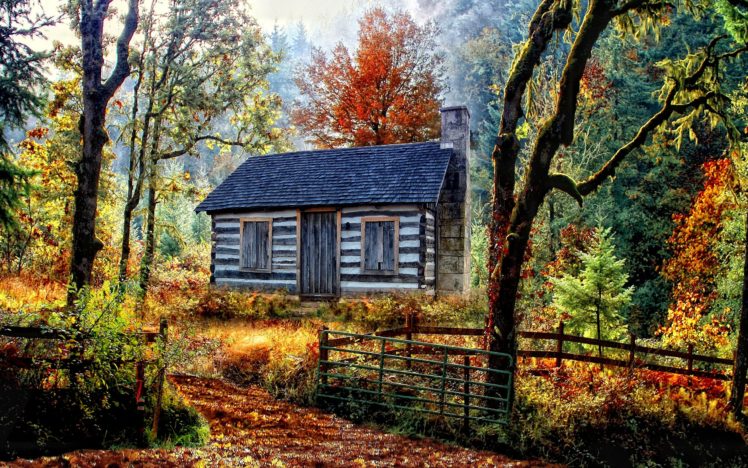 autumn, Forest, House, Nature, Landscape HD Wallpaper Desktop Background