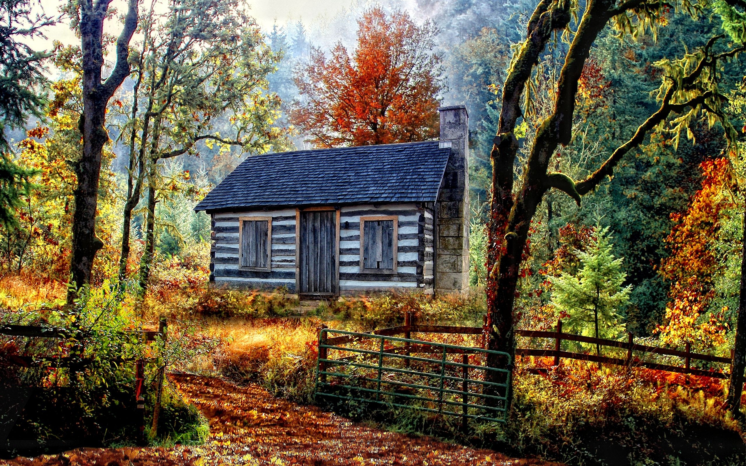 autumn, Forest, House, Nature, Landscape Wallpaper