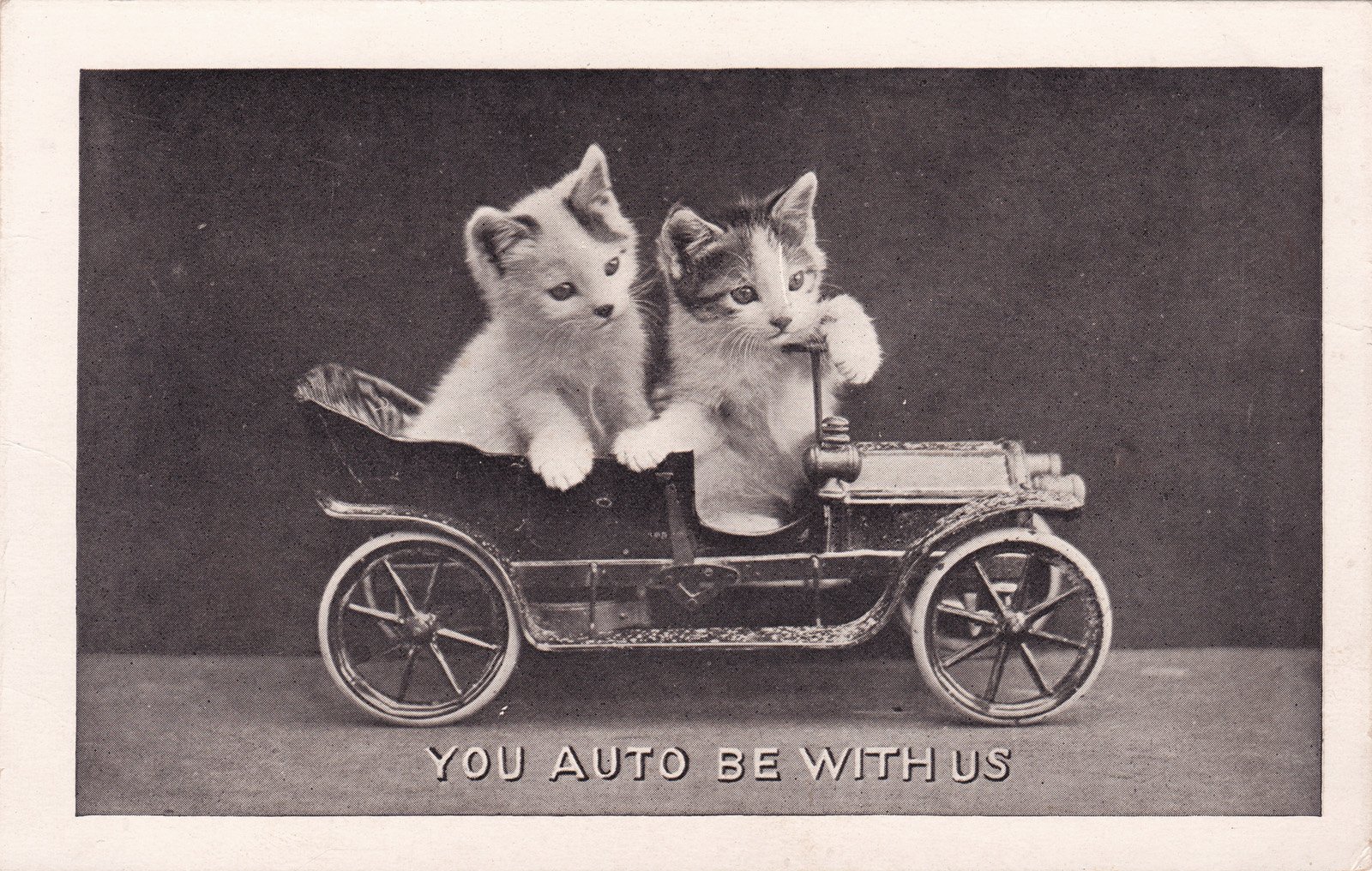 postcard, Paper, Poster, Advertising, Vintage, Retro, Antique, Cat Wallpaper