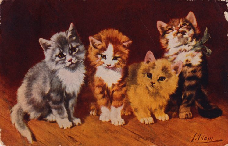 postcard, Paper, Poster, Advertising, Vintage, Retro, Antique, Cat HD Wallpaper Desktop Background