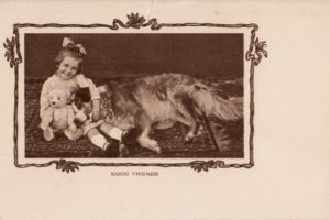 postcard, Paper, Poster, Advertising, Vintage, Retro, Antique, Dog, Dogs