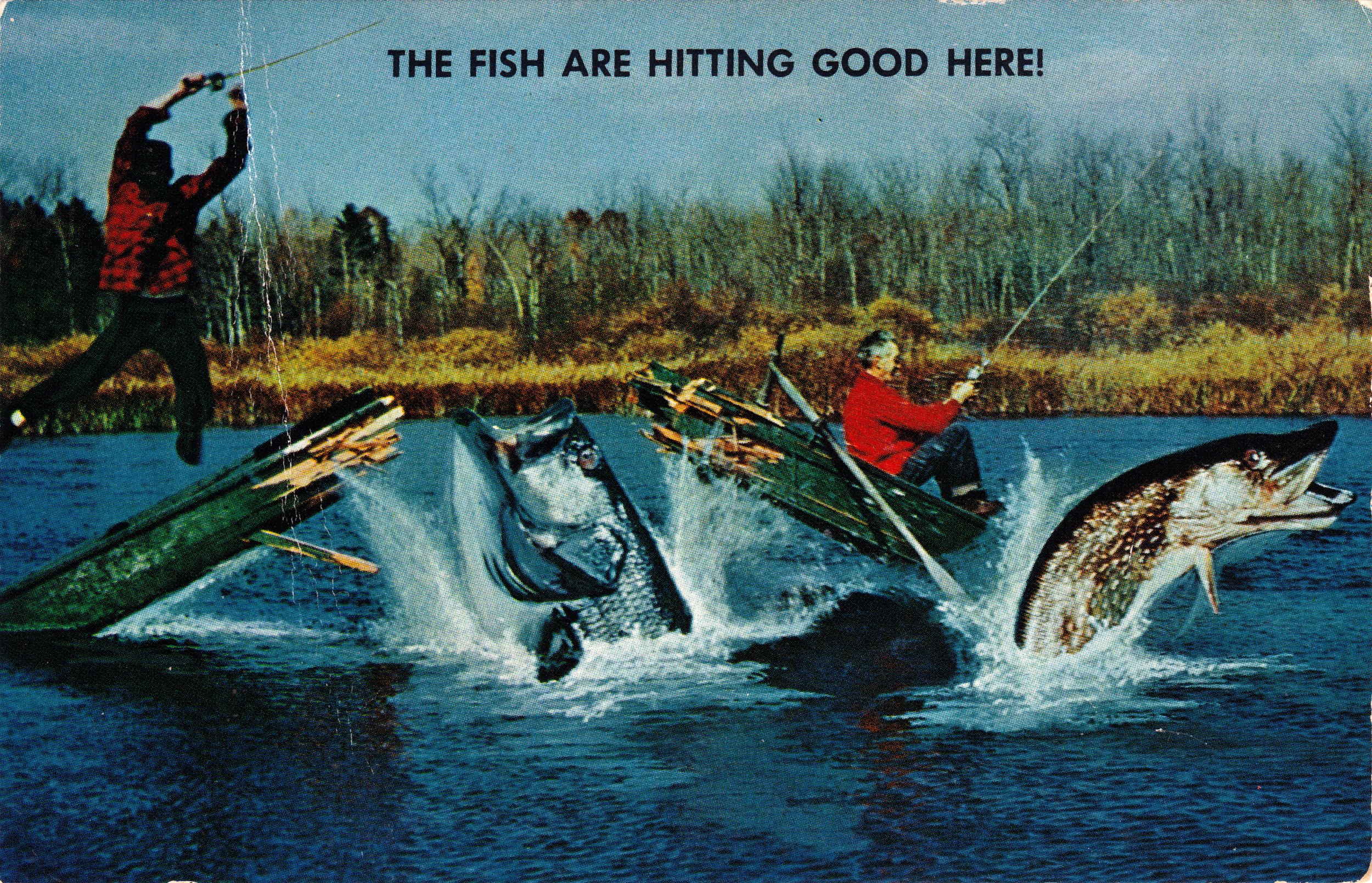 postcard, Paper, Poster, Advertising, Vintage, Retro, Antique, Humor, Funny, Comedy, F, Fishing Wallpaper