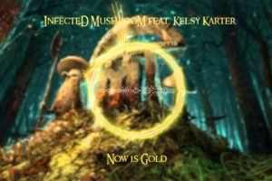 infected, Mushroom, Psychedelic, Trance, Electro, House, Electronica, Electronic, Rock, Industrial, Disc, Jockey, 1imush, Artwork, Fantasy, Poster
