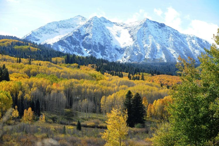 mountains, Forest, Trees, Autumn, Landscape HD Wallpaper Desktop Background