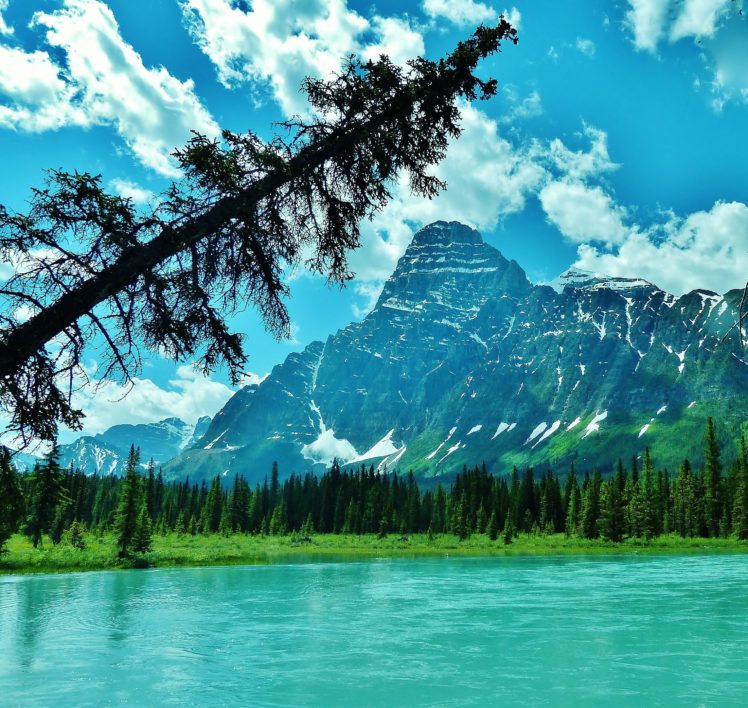 mountain, River, Trees, Landscape HD Wallpaper Desktop Background