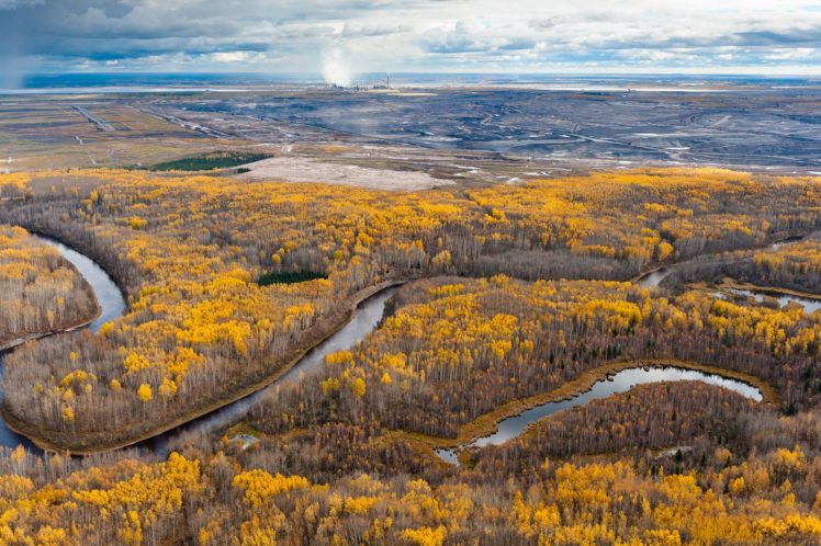 river, Forest, Trees, Alberta, Canada, Autumn HD Wallpaper Desktop Background
