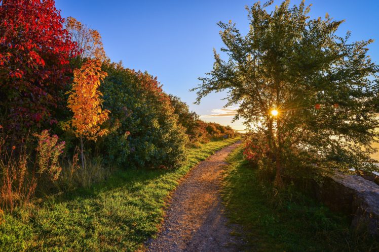 sunset, Road, Trees, Autumn, Landscape HD Wallpaper Desktop Background