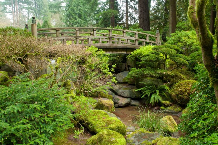 japenese, Gardens, Forest, Trees, Park, River, Bridge, Rocks, Landscape HD Wallpaper Desktop Background