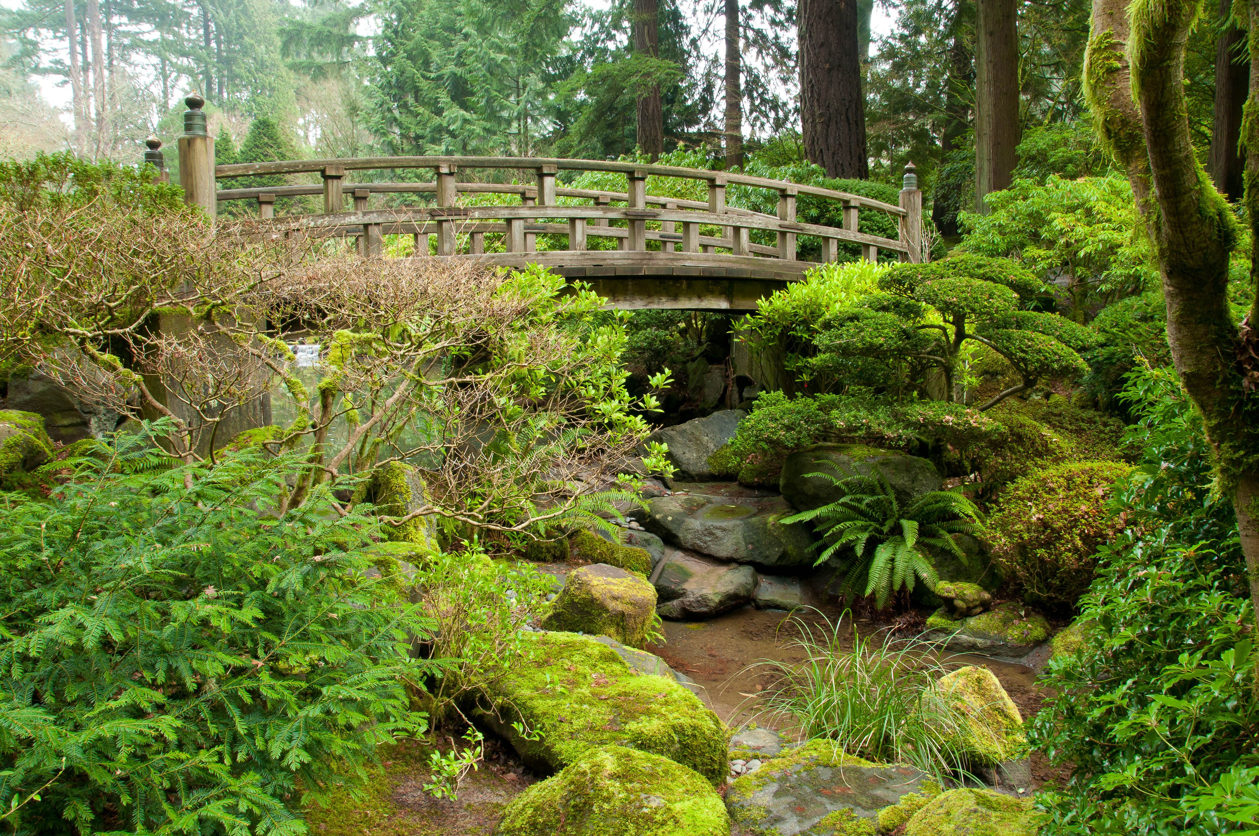 japenese, Gardens, Forest, Trees, Park, River, Bridge, Rocks, Landscape Wallpaper