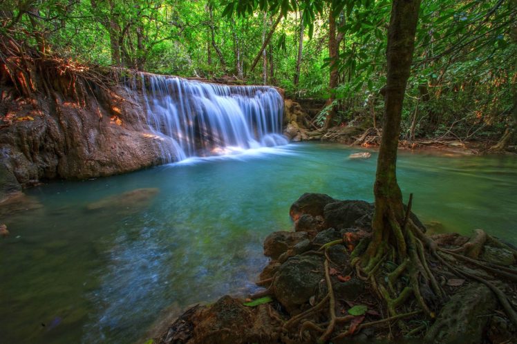 jungle, Forest, Trees, Stream, Waterfall, Rocks, Nature HD Wallpaper Desktop Background