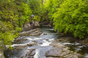 forest, Trees, Rocks, River, Scotland