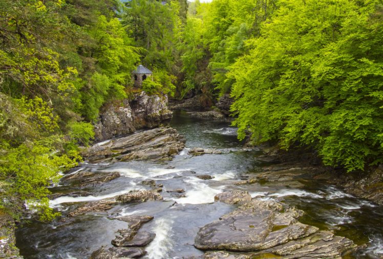 forest, Trees, Rocks, River, Scotland HD Wallpaper Desktop Background