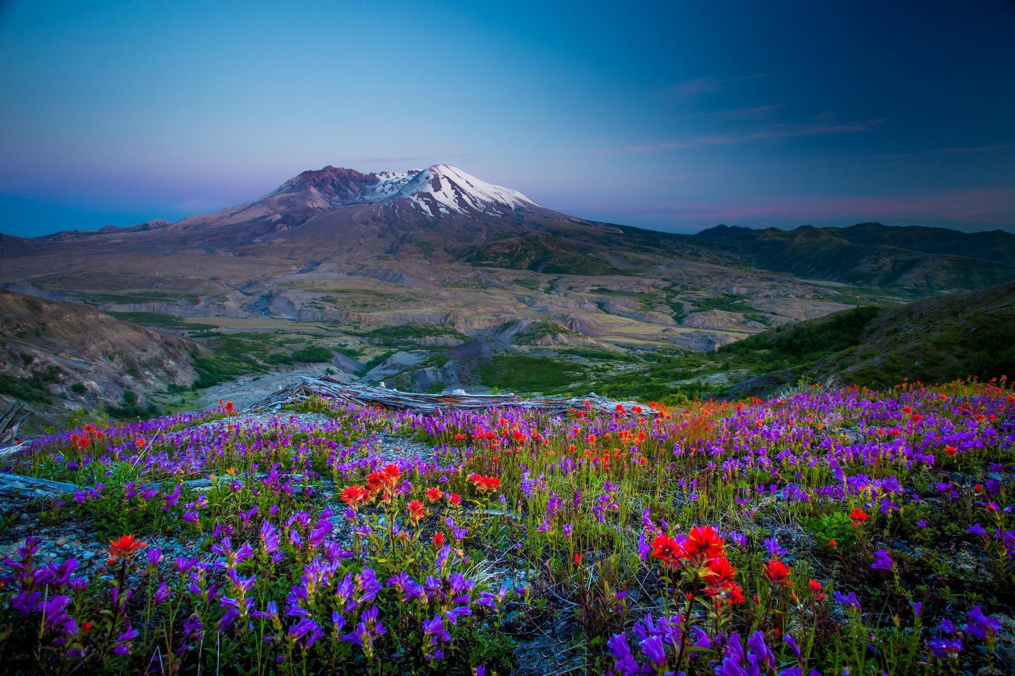 mountains, Flowers, Landscape Wallpaper