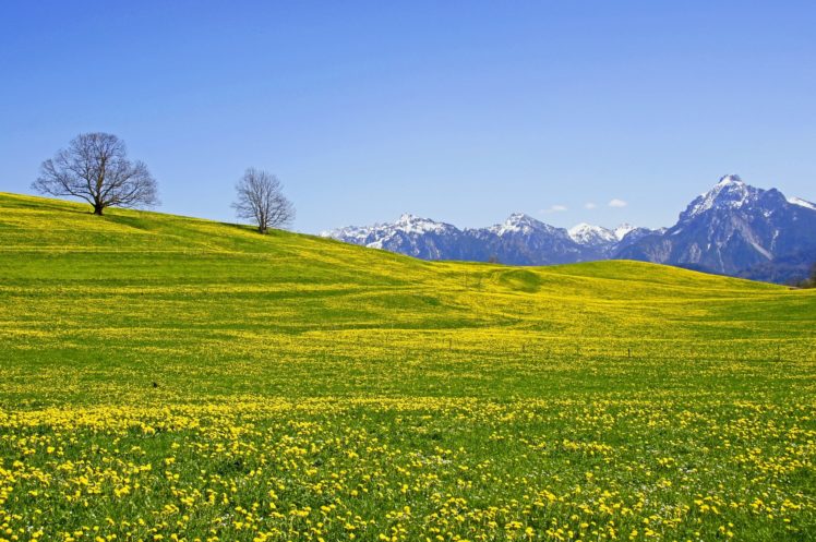 mountains, Field, Trees, Flowers, Landscape HD Wallpaper Desktop Background