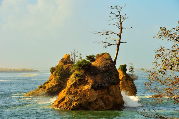 sea, Rocks, Trees, Landscape HD Wallpaper Desktop Background
