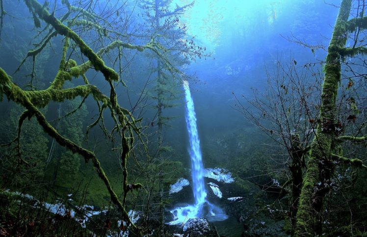 trees, Rocks, Waterfall, Moss, Fog, Nature HD Wallpaper Desktop Background