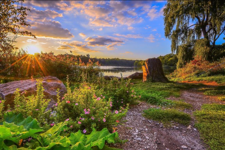 sunset, Lake, Trees, Rocks, Flowers, Landscape HD Wallpaper Desktop Background