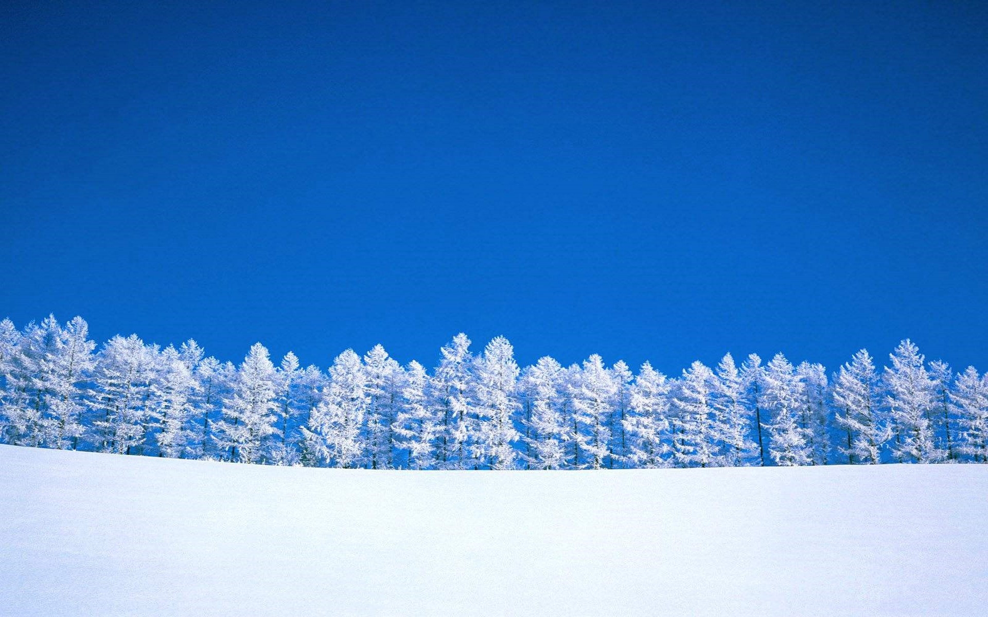 winter, Trees Wallpaper