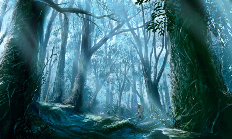 forest, Ginko,  mushishi , Mushishi, Tree, White, Hair HD Wallpaper Desktop Background