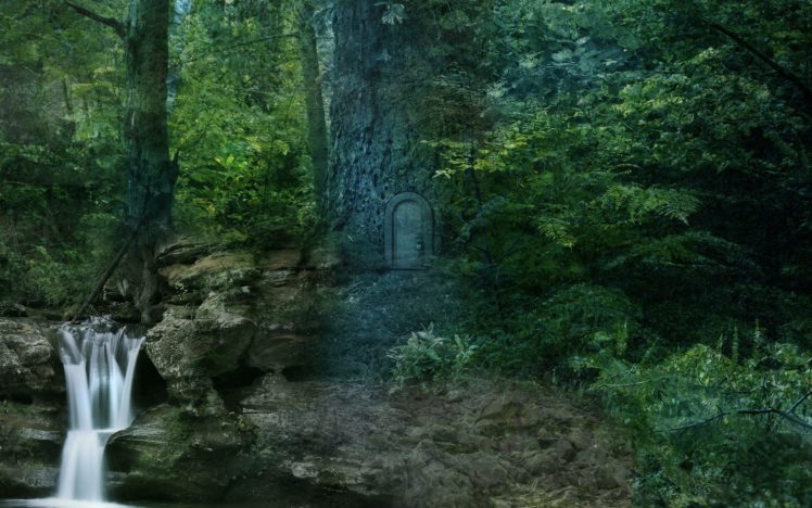 forest, Trees, Waterfall, Landscape HD Wallpaper Desktop Background