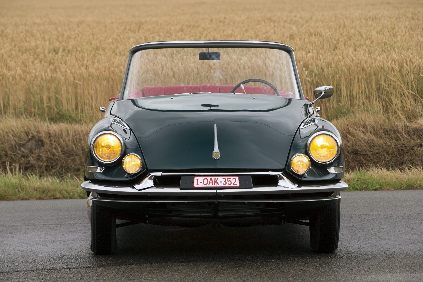 citroa Wallpaper