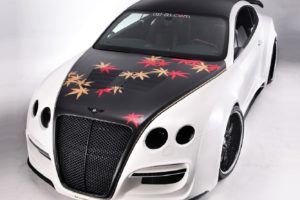 asi, Bentley, Continental, Gt, Tetsu, Gtr, Cars, Modified, 2009