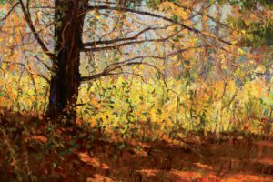 painting, Landscape, Art, Peter, Fiore, Autumn, Tree, Branches, Leaves, Light, Shadow